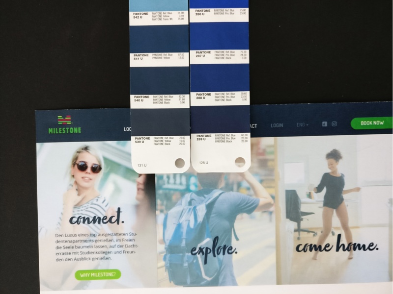 MILESTONE Brand Experience