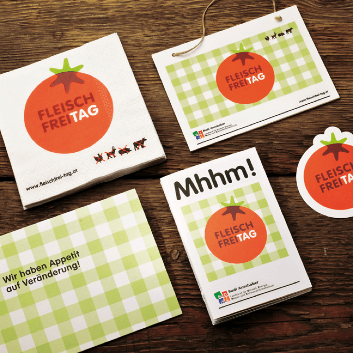 Rudi Anschober Kampagnenseiten, Konzepte, Betreuung