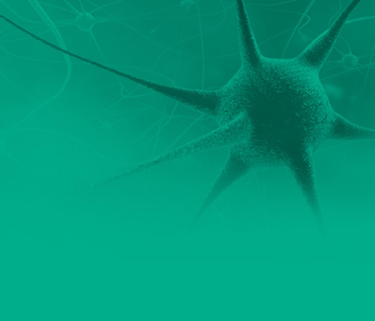 Amomed Website Relaunch