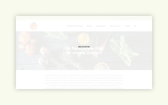 Rudi Anschober Kampagnenseiten, Konzepte, Betreuung