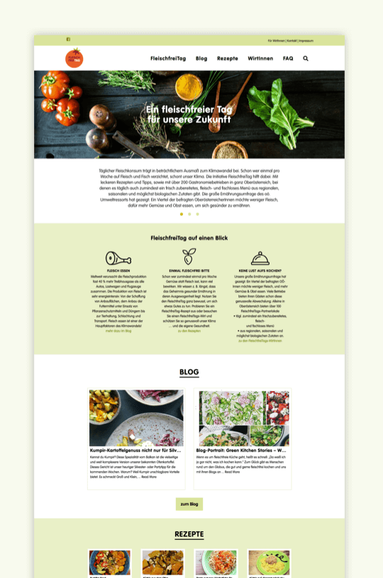 Rudi Anschober Kampagnenseiten, Konzepte, Betreuung